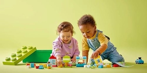 LEGO DUPLO - Caixa Clássica de Peças (65 peças)