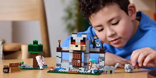 LEGO Minecraft - SA Fortaleza dos Lobos - 8 anos